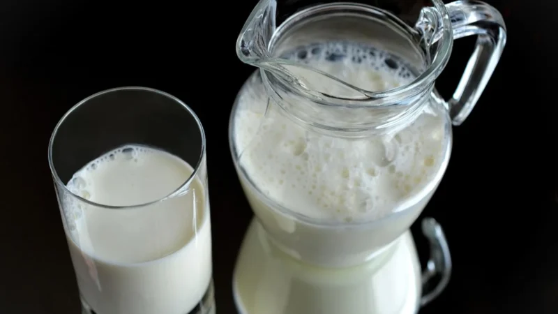 Dieta dla grupy krwi B: nabiał i jaja – co potwierdzają badania
